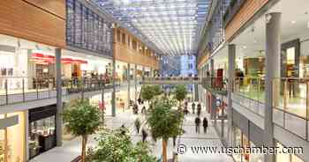 Organized Retail Theft 101: What Is It and What Can Be Done About It? - uschamber.com