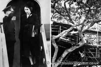Platinum Jubilee: The bizarre story of how Elizabeth became Queen in Kenyan treetops