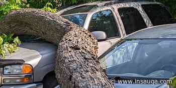 Hamilton under severe storm watch Wednesday as cold front hits Ontario | inTheHammer - insauga.com