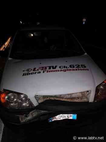 Benevento| Auto si scontra con un cinghiale, illeso il conducente - LabTV