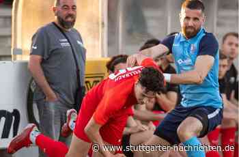 Calcio Leinfelden-Echterdingen – SV Fellbach: Sieg verpasst, aber zufrieden - Stuttgarter Nachrichten