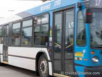 Bus service investigation terms laid out before committee meetings
