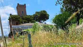 Erba alta davanti alla stazione e la via Aurelia è una savana - Il Tirreno