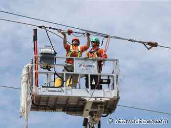Storm recovery: 300 Hydro Ottawa customers still without power on Day 12