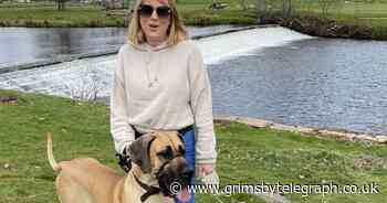 Fuming woman claims vet gave her dog wrong injection leaving pet shaken - Grimsby Live