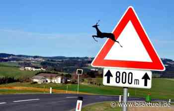 Kreis Neu-Ulm: Pkw überschlägt sich bei Holzheim bei Wildwechsel - BSAktuell