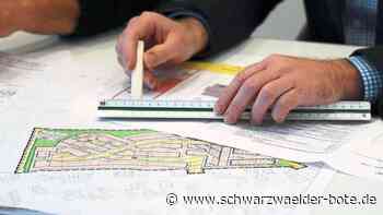 Wirtschaft oder Klimaschutz - Gewerbegebiet in Niedereschach führt zu Diskussionen - Schwarzwälder Bote