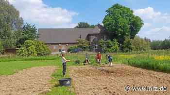 Rees: Gemeinschaftsgarten am Wahrsmannshof soll starten - NRZ News
