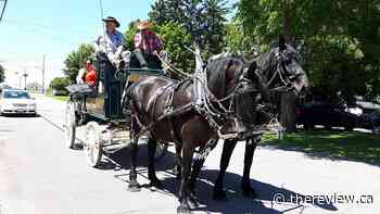 Vankleek Hill Horse and Buggy Parade set for July 10, 2022 - The Review Newspaper