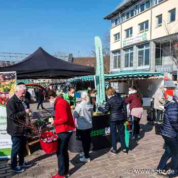 „Sindelfingen blüht auf“ als Startsignal für kommende Aktionen - Sindelfinger Zeitung / Böblinger Zeitung