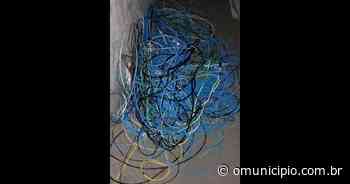 Casos de fios furtados preocupam moradores de Brusque; PM se manifesta - O Município