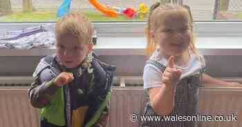 Anger of grandfather of two children killed by drink driver at sentence decision - Wales Online