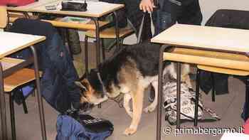 Scuole sicure: controllo dei carabinieri al Majorana di Seriate - Prima Bergamo