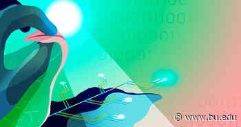 Could Photosynthesis Blossom into Quantum Computing Technology? | Bostonia - Boston University