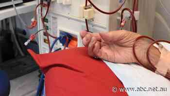 EnergyAustralia fined $12m for failing to register people on life-saving medical equipment