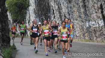 Giovedì il ritorno della Napoleonica a Trieste: in 300 su un tracciato attorno a Monte Grisa - Il Piccolo