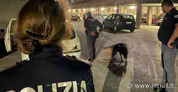 Trieste, controllo straordinario del territorio - Il Friuli