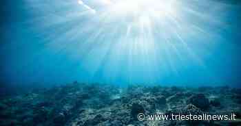 Maree Trieste, le previsioni del 1 giugno - TRIESTE.news - Trieste News