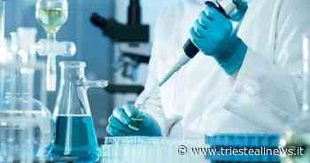 La triestina Biovalley Investments sbarca in Borsa: al via il minibond - Trieste News
