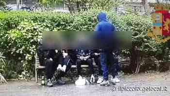 Trieste, cinque arresti per spaccio al Giardino pubblico - Il Piccolo