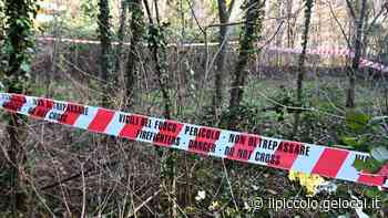 Giallo di Trieste, la testimone: «Sì, il cane fiutò qualcosa all'Opp. Che insistenti poi i vicini di Liliana» - Il Piccolo