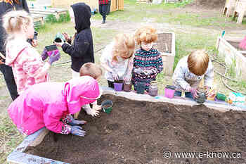 Common ground found at Sparwood Community Garden | Elk Valley, Sparwood - E-Know.ca