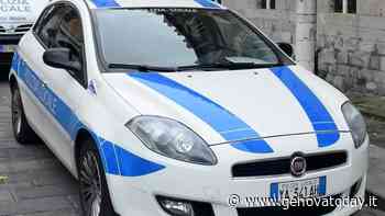 Ruba borsa su auto con a bordo due passeggeri: arrestato dalla polizia locale - GenovaToday