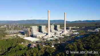 'It's a market-wide issue': Eraring power plant running out of coal