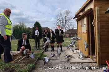 Mount Carmel 'excited' to appear on One Show with racing pigeons