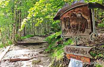 Mountainbiker und Wanderer: Rücksicht statt Verbote - Bad Reichenhall - Passauer Neue Presse - PNP.de