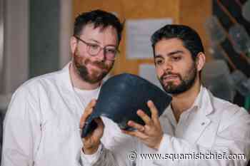 B.C. researchers using kelp and wood fibre to fight plastic pollution - Squamish Chief