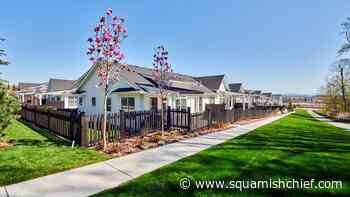 5 eco-conscious homes that don't compromise architectural design - Squamish Chief