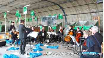 Musik auf dem Recyclinghof Nagold - Starker Auftritt gegen allgegenwärtigen Schutt - Schwarzwälder Bote