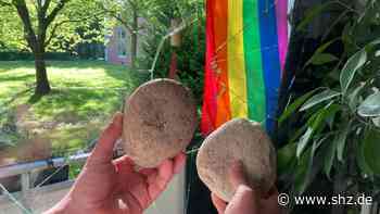Regenbogenflagge als Ursache?: Ahrensburg: Unbekannte schmeißen Fensterscheibe mit dicken Steinen ein - shz.de