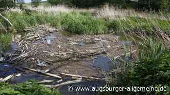 Aichach: Leiche in der Paar bei Aichach: Polizei geht von Unfall aus | Aichacher Nachrichten - Augsburger Allgemeine