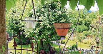 17 Privatgärten im Kreis Soest laden zum Entdecken ein - Der Patriot Lippstädter Zeitung