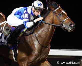 McPeek sorting out plans for his 3-year-olds - Daily Racing Form