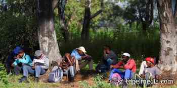 The inclusion of 15-year-olds in the Labour Force Survey is blamed on legislation, according to the Statistician-General. - TDPel Media