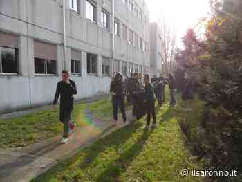 Energia pulita, l'Itc Zappa di Saronno contribuisce per 27 kW e Tradate per oltre 56 kW - ilSaronno