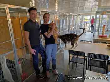 De Poezenboot in Gent bindt de strijd aan met minister Weyts: 'Dit is pure discriminatie' - De Morgen