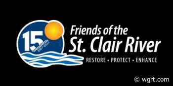 Friends of St. Clair River Name Baby Sturgeon “Pauline” After Fundraising Contest - WGRT Local News