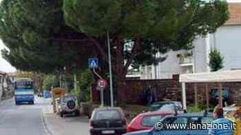 "Valpiana e Massa, strade disastro" - LA NAZIONE