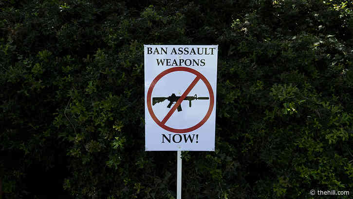 Haunted Democrats fear gun control measures could cost them in midterms