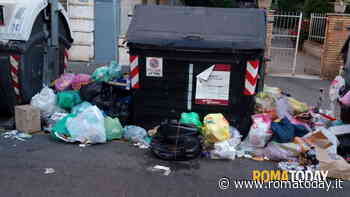 LETTORI - Incuria infinita all'Alessandrino