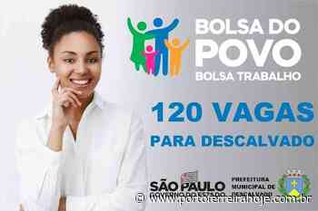 Descalvado: estão abertas inscrições para 120 vagas do "Bolsa Trabalho" - Porto Ferreira Hoje