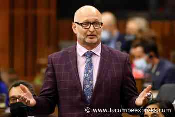 Liberals pressed on whether B.C. drug decriminalization could pave way nationally - Lacombe Express