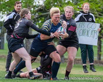 CobraCats heading to provincials after landslide win in zone final - CochraneNow.com