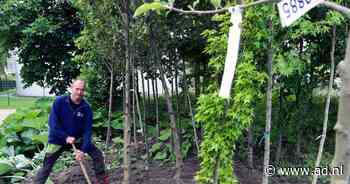 Een appel of een peer voor je deur, Gorinchem plant ruim vijfhonderd nieuwe bomen - AD.nl