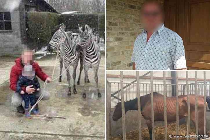 Ex-veearts getuigt anoniem na inval bij manegefamilie: “Paardenmilieu bestaat uit drie werelden. Voor één groep is een paard niet meer dan 150 kilo steak”