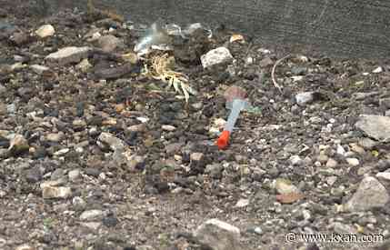 'There are used needles, used condoms': West Campus homeless encampment draws concerns